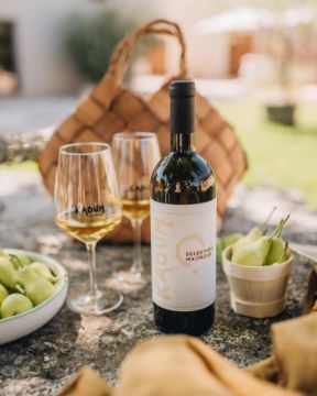 Picture of Kadum Winery (Buići - Poreč)