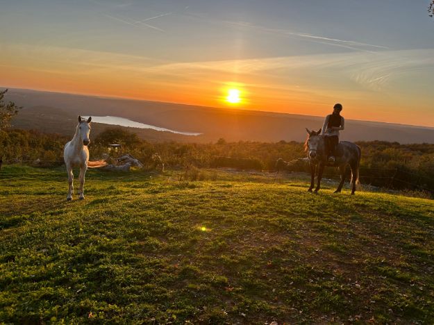 Picture of Ranch Marconi – Horseback Riding in Istria 
