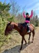 Picture of Ranch Marconi – Horseback Riding in Istria 