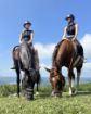 Picture of Ranch Marconi – Horseback Riding in Istria 