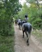 Picture of Ranch Marconi – Horseback Riding in Istria 