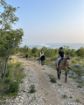 Picture of Ranch Marconi – Horseback Riding in Istria 