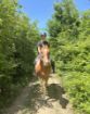 Picture of Ranch Marconi – Horseback Riding in Istria 