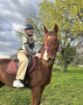 Picture of Ranch Marconi – Horseback Riding in Istria 
