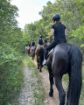 Picture of Ranch Marconi – Horseback Riding in Istria 