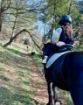 Picture of Ranch Marconi – Horseback Riding in Istria 